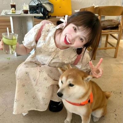 迷雾之外