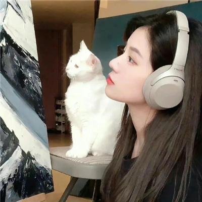 苏丹娜的梦